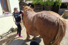 89dd796e-4166-4f01-b087-34d2ba8c28e7