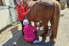 b84c0576-0c22-4979-a039-d3e1e55b5748