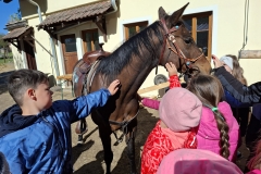 bdf9d0ed-478a-4718-971b-b659442a7ce7