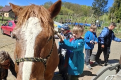 c1b43443-61e2-4874-acea-8bba51667ee1