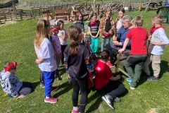 3c3e9ea3-06d9-4c94-9a91-74d66da0b03b