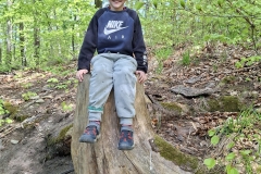 3e82c831-67e3-4a49-8e5f-69a177bd851a