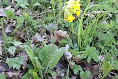 45c8bc59-dd32-4079-a2ac-07e2a5057b0b