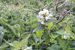 873f3b2f-a2db-468f-9095-7bd65ceda413