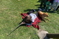 a6504e93-38aa-4583-8dd2-826a9faba8b5