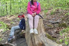 a8ed99cd-d865-4c53-8821-f9549624f5a8