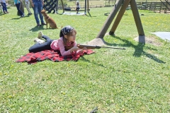 cc06b1f1-14dc-4796-bbf1-9cd6899fe2c4