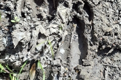 db5493f2-8aa4-429f-89cf-681d6bcf38ce