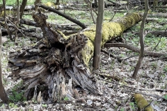 e8a75509-2cb8-4cf1-af9b-f9d74945f07b