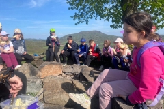 ebb24b29-80c3-4101-9cf5-d0bc23445e28