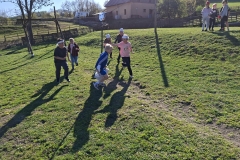 2b779c6a-137a-45df-aed6-33297fa3d467