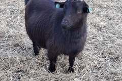 6c8ef7f4-d405-4f22-a60f-d3f13f1c5834