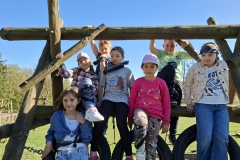 70fb991d-adc1-48ed-a258-4a099dfff2cd