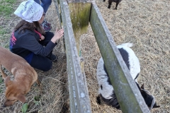 b2989b6c-b188-4248-9360-ec9770590da6