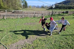 c0b52e33-afbb-46bb-9bd4-800f3548d42b