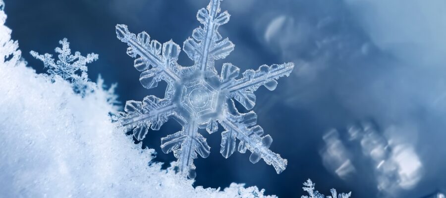 Svatý Martin v projektech některých tříd